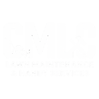 CMLC Services 